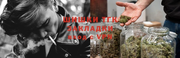 стаф Белокуриха