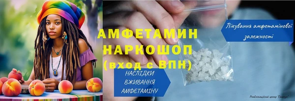 индика Беломорск