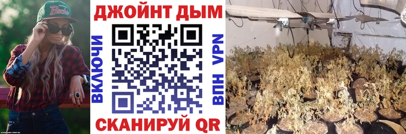 Шишки марихуана ГИДРОПОН  магазин продажи наркотиков  гидра как войти  Кущёвская 